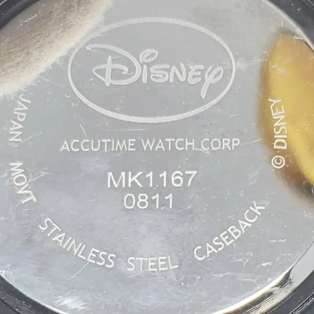 Disney celebrate charm